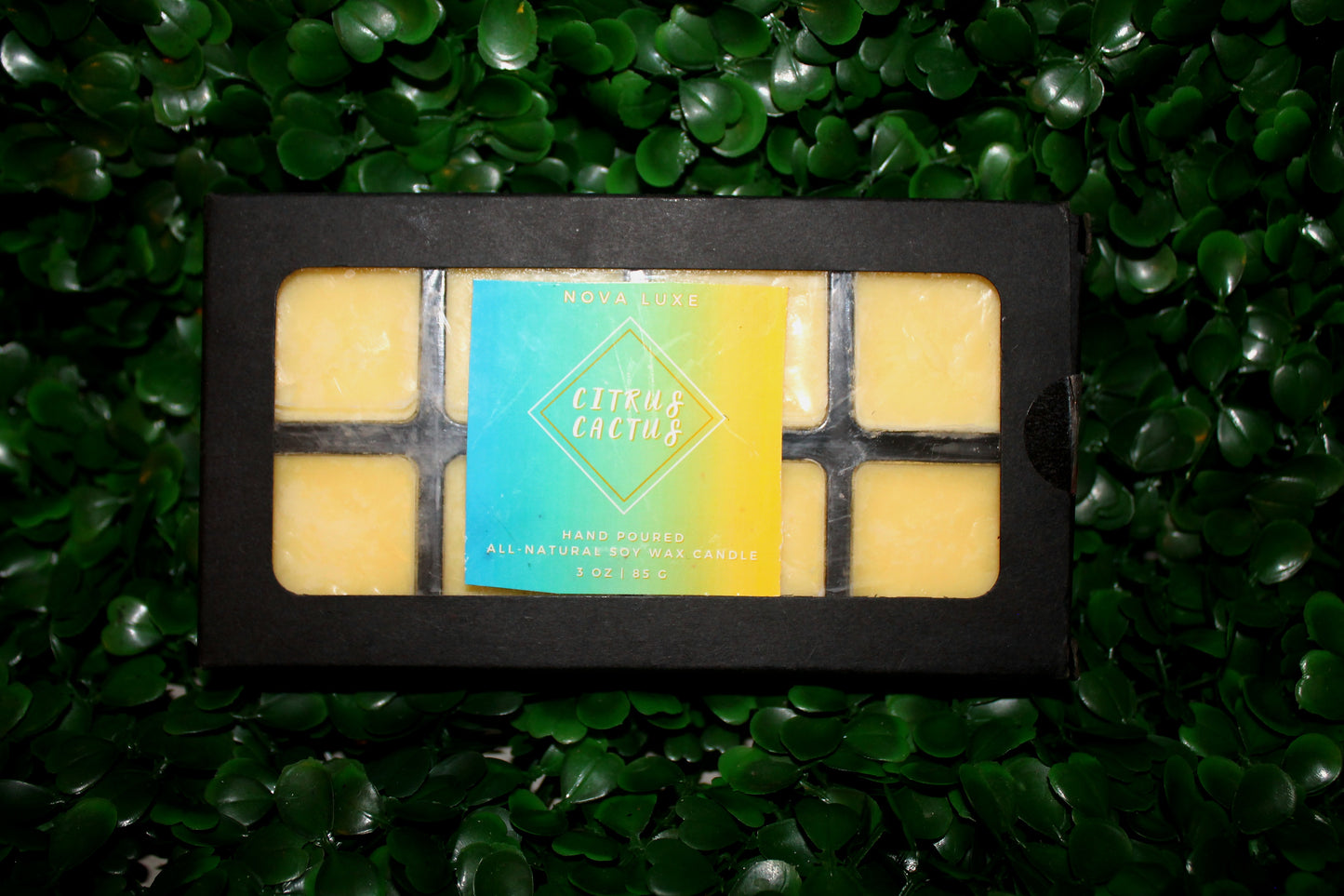 Citrus Cactus Wax Melts